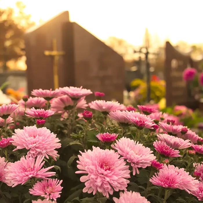 Blumen vor Friedhof