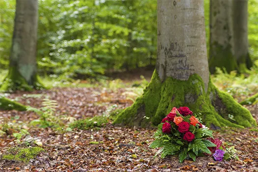 Waldbestattung