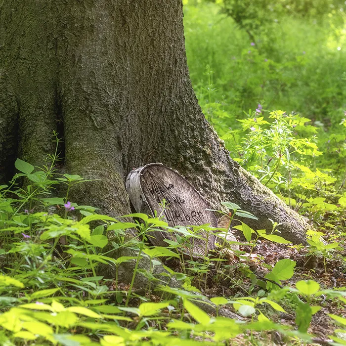 Gedenkscheibe am Baum