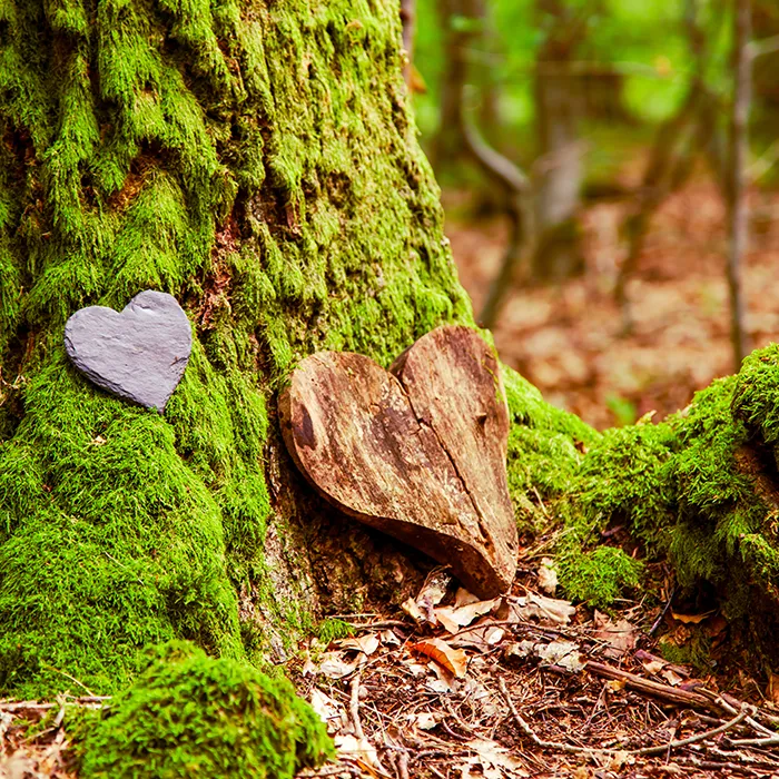 Holzherz am Baum